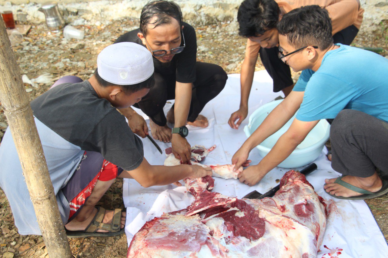 Foto Qurban