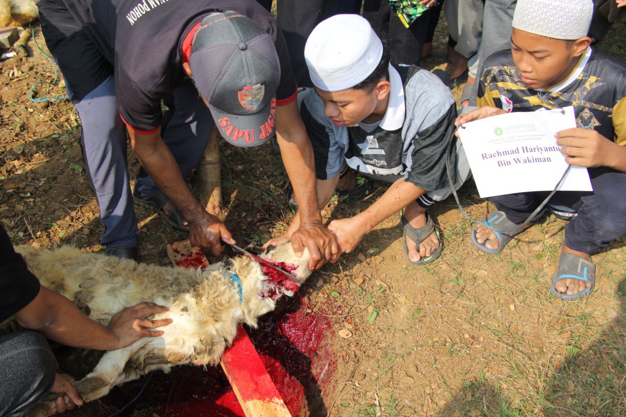 Foto Qurban